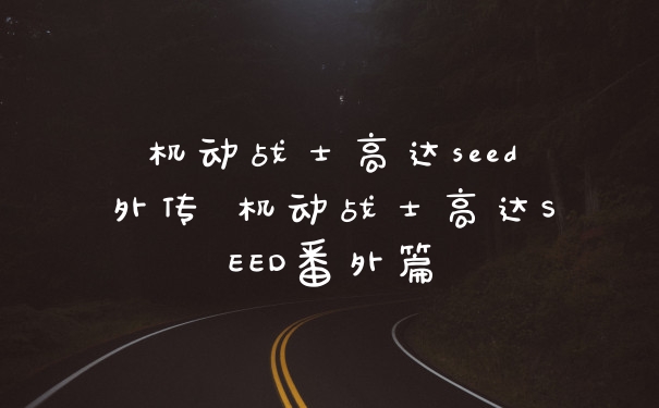 机动战士高达seed外传 机动战士高达SEED番外篇