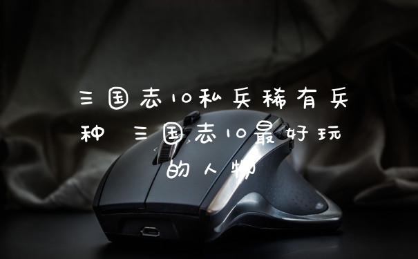 三国志10私兵稀有兵种 三国志10最好玩的人物