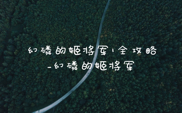 幻磷的姬将军1全攻略_幻磷的姬将军