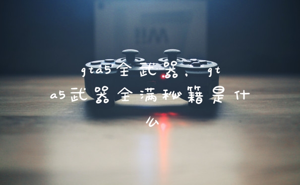 gta5全武器，gta5武器全满秘籍是什么