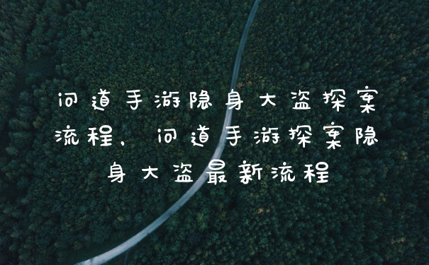 问道手游隐身大盗探案流程，问道手游探案隐身大盗最新流程