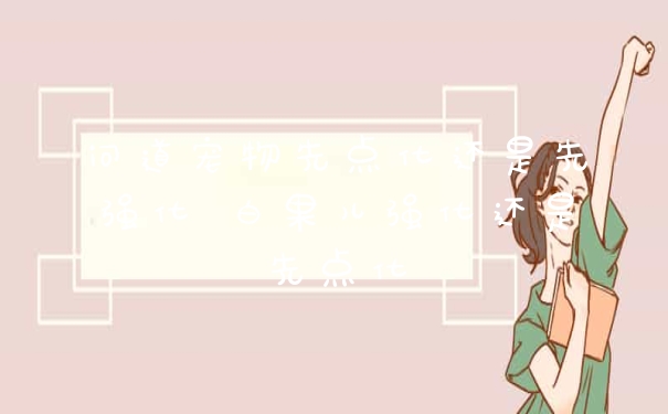 问道宠物先点化还是先强化 白果儿强化还是先点化