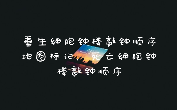 重生细胞钟楼敲钟顺序地图标记,死亡细胞钟楼敲钟顺序