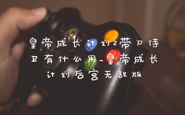 皇帝成长计划2带刀侍卫有什么用_皇帝成长计划后宫无敌版
