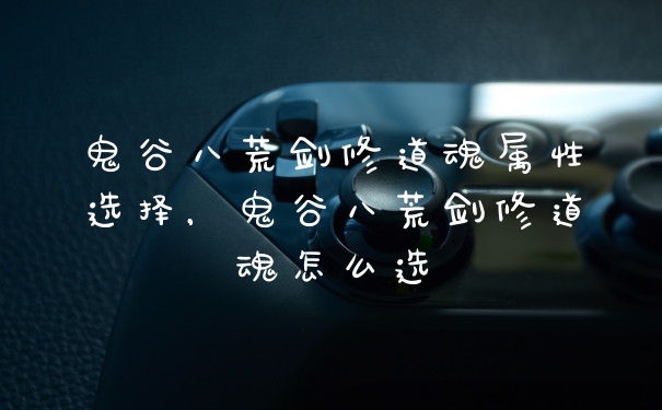 鬼谷八荒剑修道魂属性选择，鬼谷八荒剑修道魂怎么选