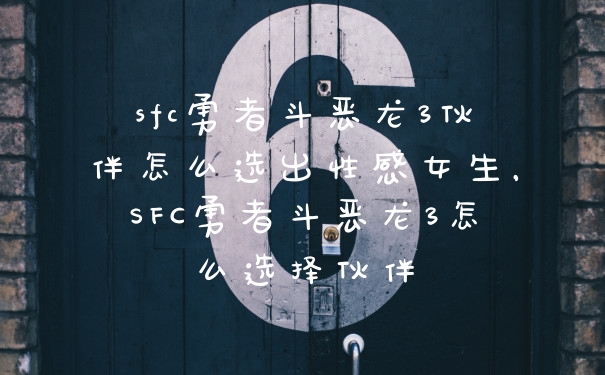 sfc勇者斗恶龙3伙伴怎么选出性感女生，SFC勇者斗恶龙3怎么选择伙伴