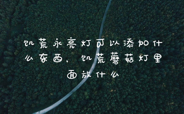 饥荒永亮灯可以添加什么东西，饥荒蘑菇灯里面放什么