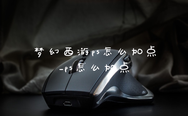 梦幻西游ps怎么加点_ps怎么加点
