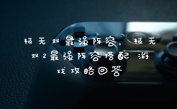 极无双最强阵容，极无双2最强阵容搭配 游戏攻略回答