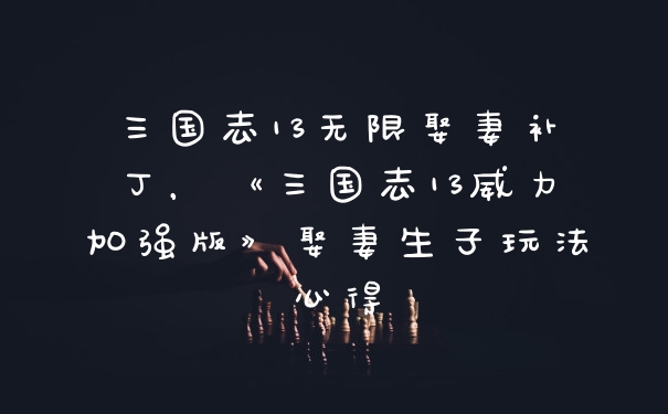三国志13无限娶妻补丁，《三国志13威力加强版》娶妻生子玩法心得