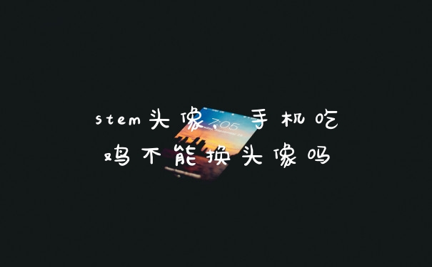 stem头像，手机吃鸡不能换头像吗