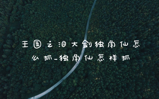王国之泪大剑独角仙怎么抓_独角仙怎样抓