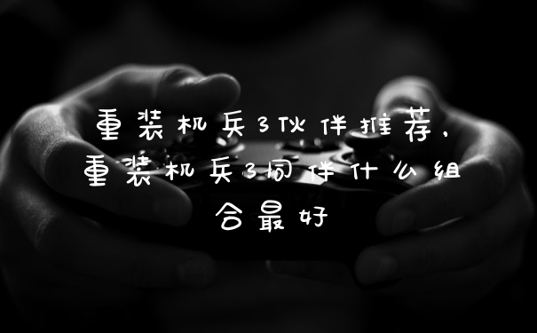 重装机兵3伙伴推荐，重装机兵3同伴什么组合最好