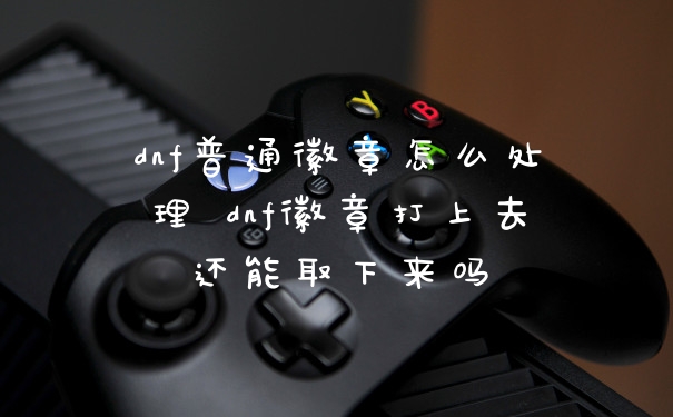 dnf普通徽章怎么处理 dnf徽章打上去还能取下来吗