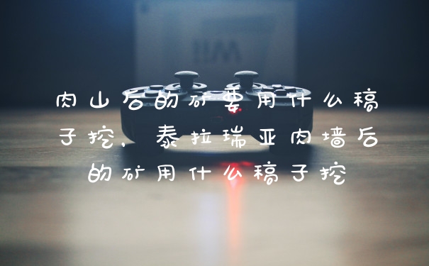 肉山后的矿要用什么稿子挖，泰拉瑞亚肉墙后的矿用什么稿子挖