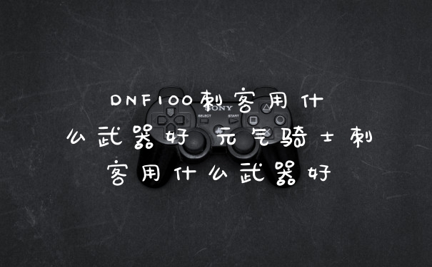 DNF100刺客用什么武器好 元气骑士刺客用什么武器好