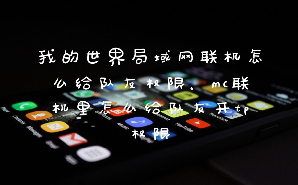 我的世界局域网联机怎么给队友权限，mc联机里怎么给队友开tp权限