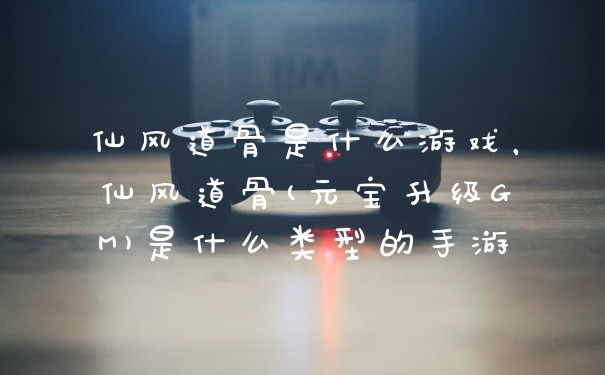 仙风道骨是什么游戏,仙风道骨(元宝升级GM)是什么类型的手游