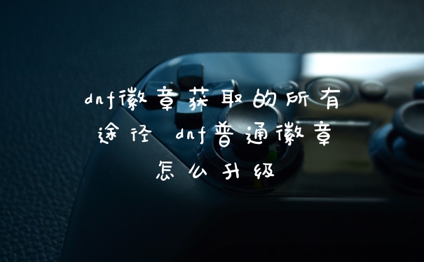 dnf徽章获取的所有途径 dnf普通徽章怎么升级