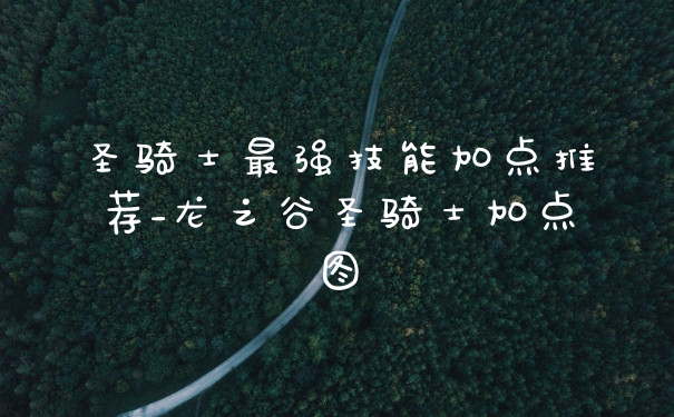 圣骑士最强技能加点推荐_龙之谷圣骑士加点图