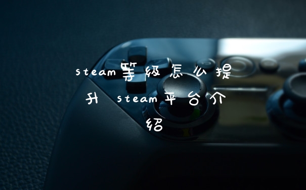 steam等级怎么提升 steam平台介绍