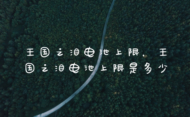 王国之泪电池上限，王国之泪电池上限是多少