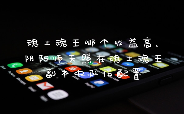 魂土魂王哪个收益高,阴阳师天照在魂土魂王副本中队伍配置