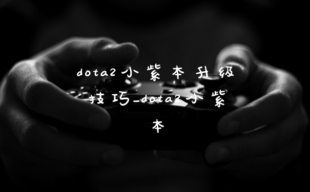 dota2小紫本升级技巧_dota2小紫本