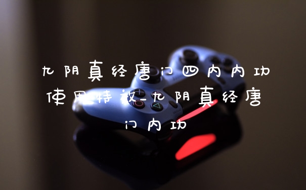九阴真经唐门四内内功使用特效_九阴真经唐门内功