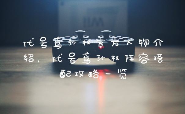 代号鸢孙权官方人物介绍,代号鸢孙权阵容搭配攻略一览