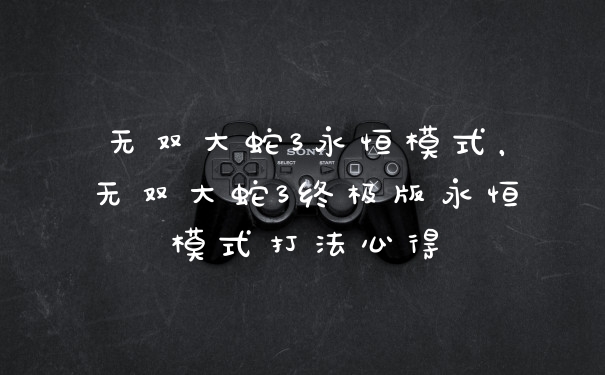无双大蛇3永恒模式，无双大蛇3终极版永恒模式打法心得