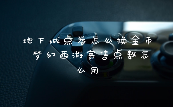 地下城点券怎么换金币 梦幻西游寄售点数怎么用