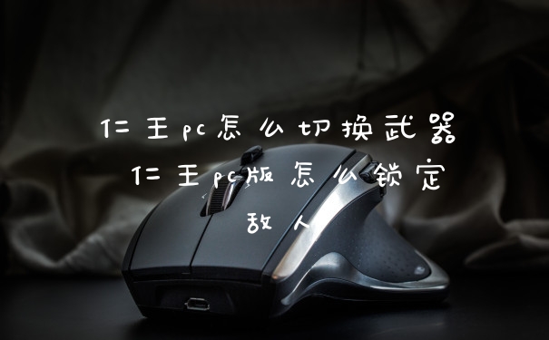 仁王pc怎么切换武器 仁王pc版怎么锁定敌人