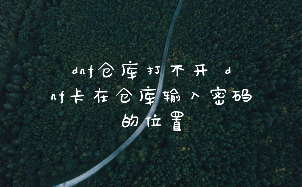 dnf仓库打不开 dnf卡在仓库输入密码的位置