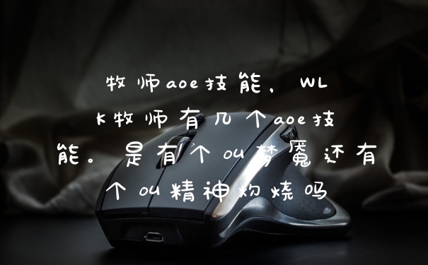 牧师aoe技能，WLK牧师有几个aoe技能。是有个叫梦魇还有个叫精神灼烧吗
