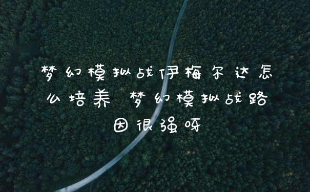 梦幻模拟战伊梅尔达怎么培养 梦幻模拟战路因很强呀