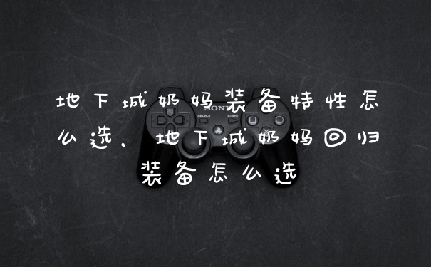 地下城奶妈装备特性怎么选,地下城奶妈回归装备怎么选