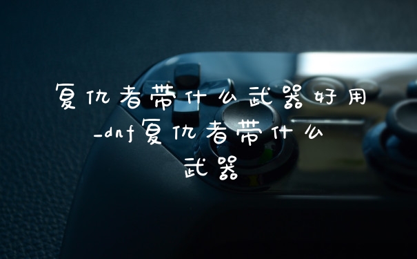 复仇者带什么武器好用_dnf复仇者带什么武器