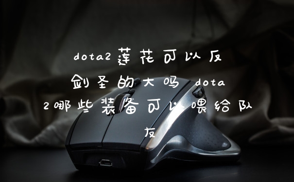 dota2莲花可以反剑圣的大吗 dota2哪些装备可以喂给队友
