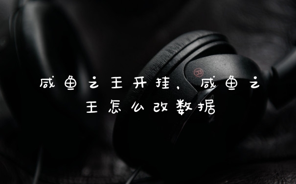 咸鱼之王开挂，咸鱼之王怎么改数据