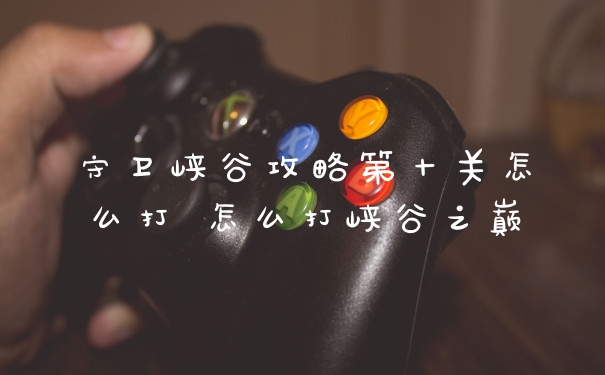 守卫峡谷攻略第十关怎么打 怎么打峡谷之巅