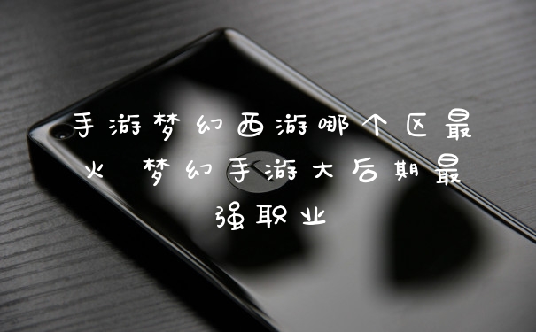 手游梦幻西游哪个区最火 梦幻手游大后期最强职业