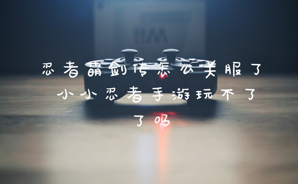 忍者萌剑传怎么关服了 小小忍者手游玩不了了吗