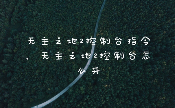 无主之地2控制台指令，无主之地2控制台怎么开
