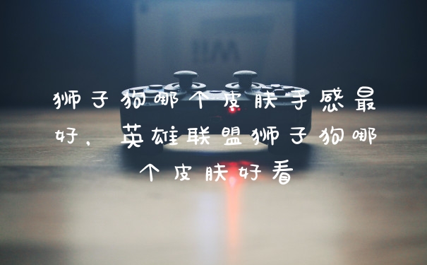 狮子狗哪个皮肤手感最好，英雄联盟狮子狗哪个皮肤好看