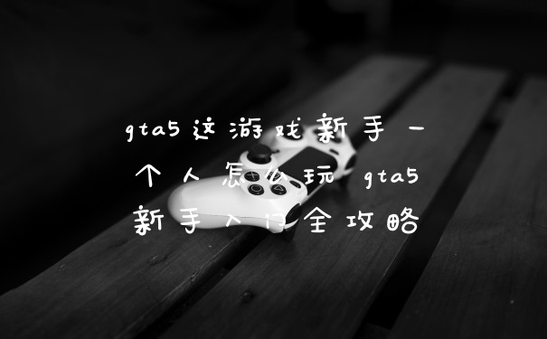 gta5这游戏新手一个人怎么玩 gta5新手入门全攻略