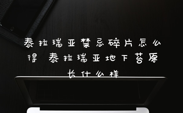 泰拉瑞亚禁忌碎片怎么得 泰拉瑞亚地下苔原长什么样