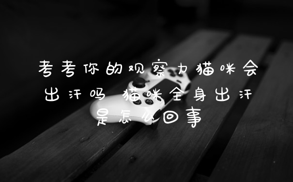 考考你的观察力猫咪会出汗吗 猫咪全身出汗是怎么回事