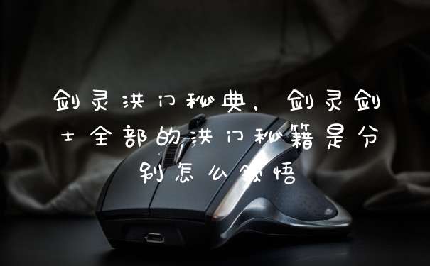 剑灵洪门秘典，剑灵剑士全部的洪门秘籍是分别怎么领悟