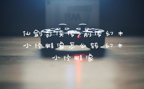 仙剑奇侠传5前传幻木小径雕像怎么转_幻木小径雕像